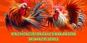 địa chỉ cá cược đá gà