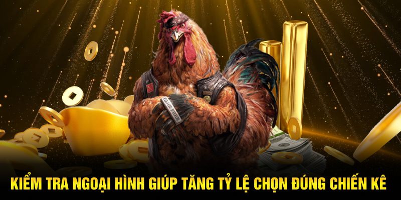 Kiểm tra ngoại hình giúp tăng tỷ lệ chọn đúng chiến kê