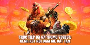 trực tiếp đá gà thomo